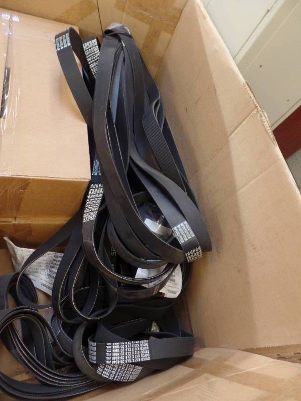 Engine Alternator Belts