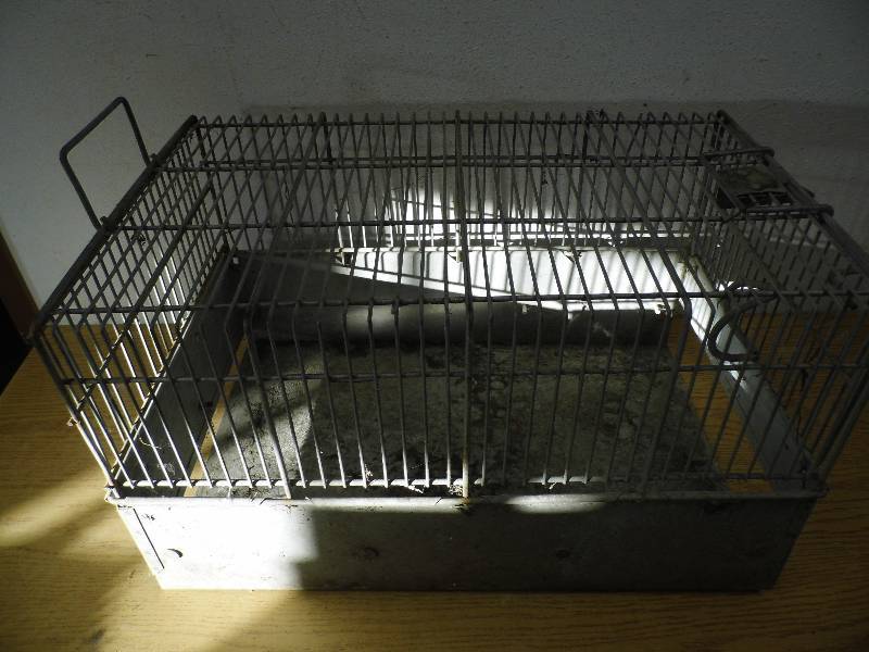 lot 29 image: Cage