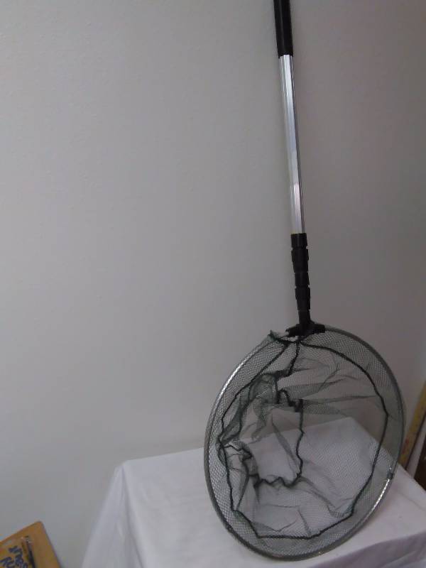 lot 118 image: Minnow  Butterfly Net, lightweight aluminum 15 in. diameter w telescoping handle