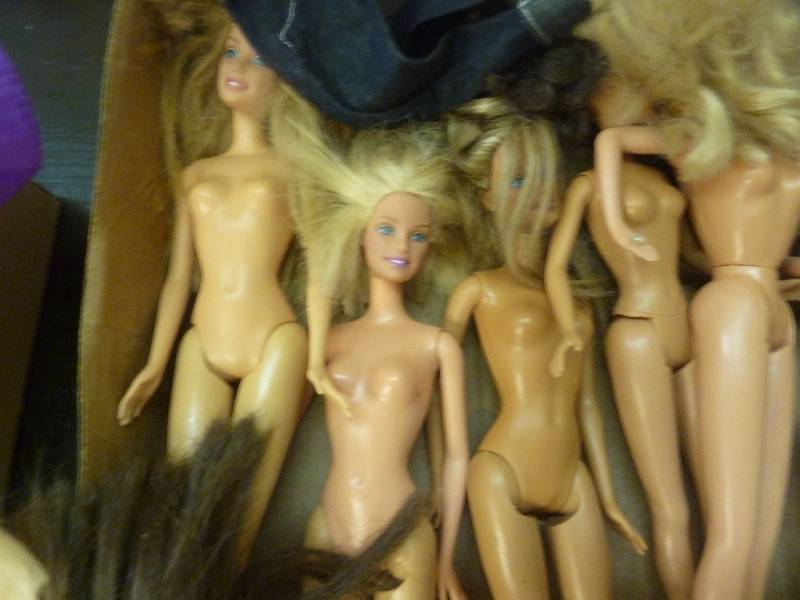 Vintage and Modern Barbies