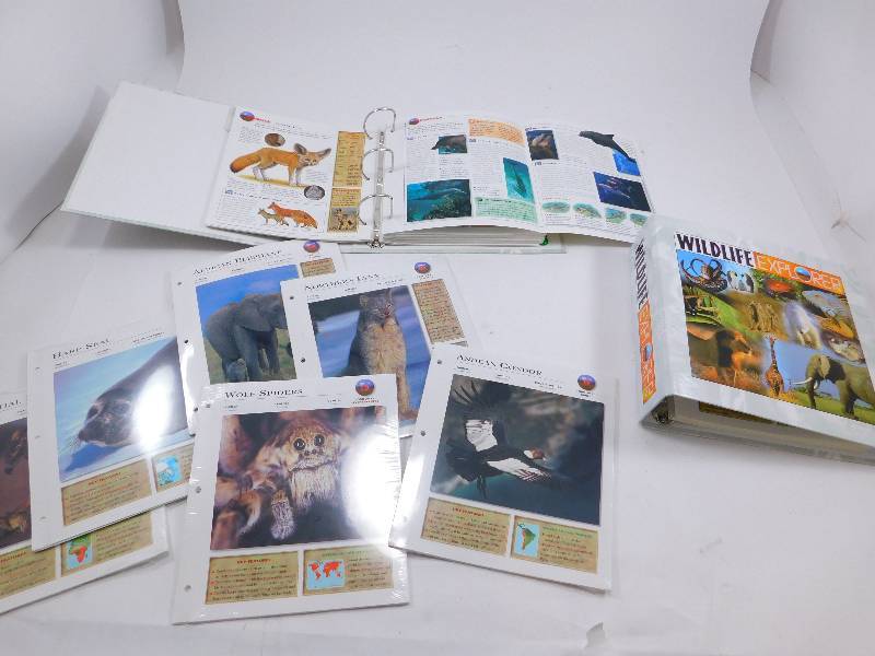 lot 62 image: Lot of Wildlife Explorer Books