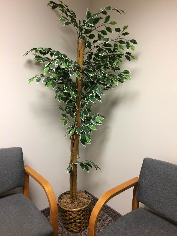 lot 57 image: Hon Corner Wood End Table & Artificial Ficus Tree - Nice Condition