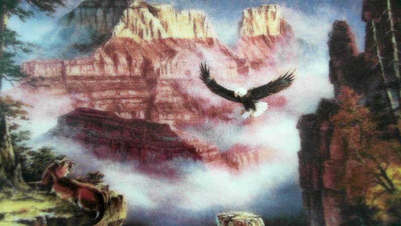lot 641 image: Danbury Mint Where the Eagles Soar Grand Canyon Plate by Rudi Reichardt