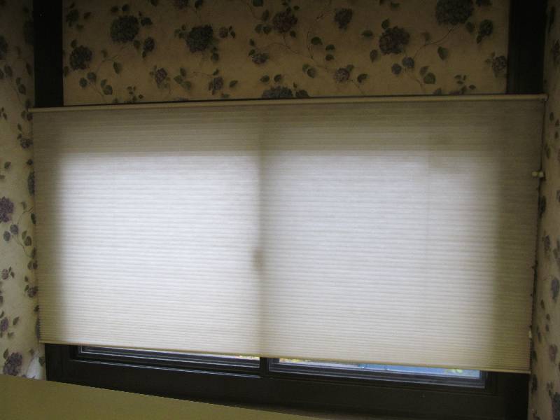 window blinds