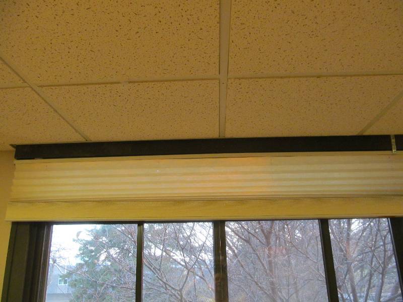 blinds