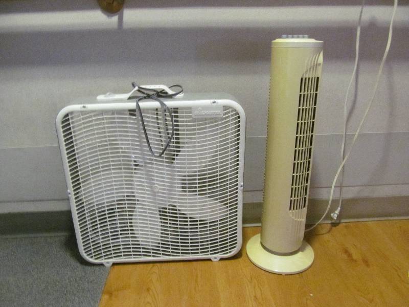 Fans