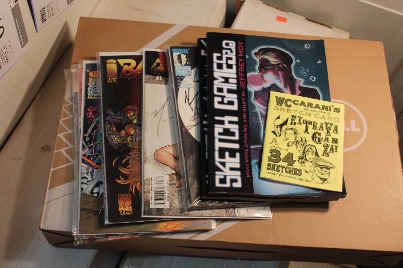 lot 251 image: Lot of (13) Kabuki, Sketch Games, Daredevil, Stryke Force, The Alliance, The Others Comic Books w Signed, Sleeves & WC Caranis Signed Sketch Card