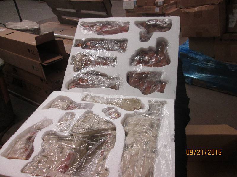 Nativity Set, New in Box...