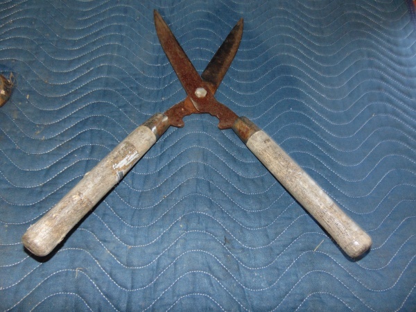 lot 21 image: Hedge Clipper