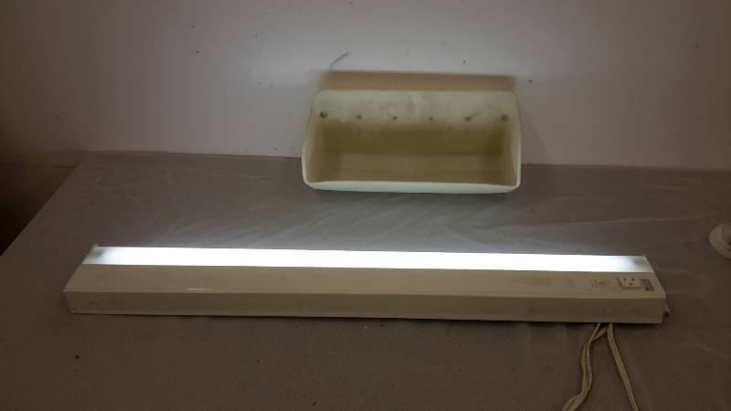 Bin and light