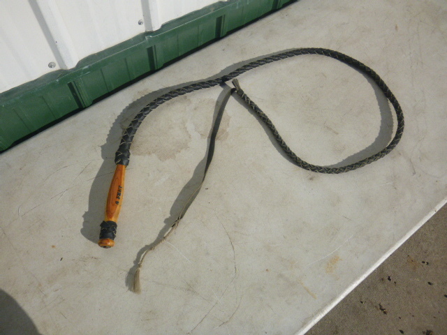 lot 26 image: Whip