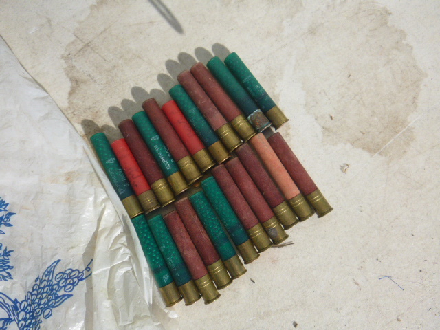 lot 33 image: Miscellaneous 410 Shotgun Shells