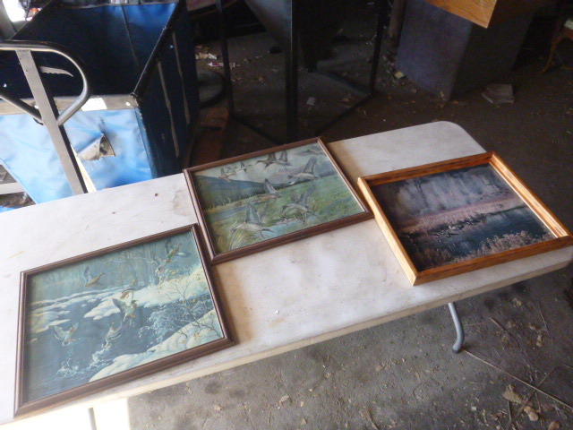 lot 46 image: 3 Small Framed Waterfowl Pictures