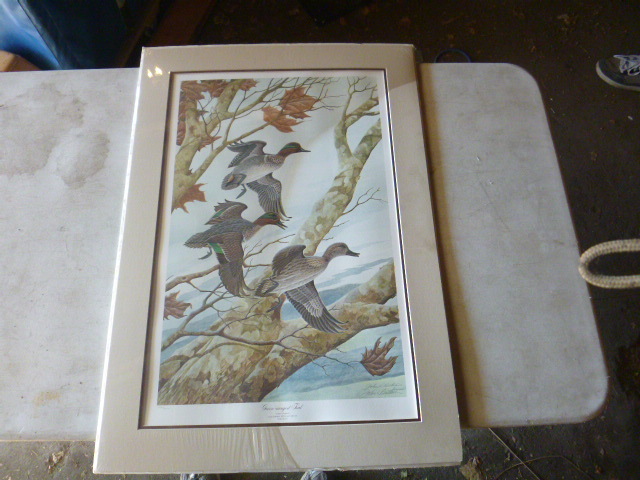 lot 48 image: Green-Winged Teal Print by John A. Ruthven