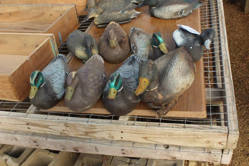 lot 43 image: Lot of (8) Duck Decoys