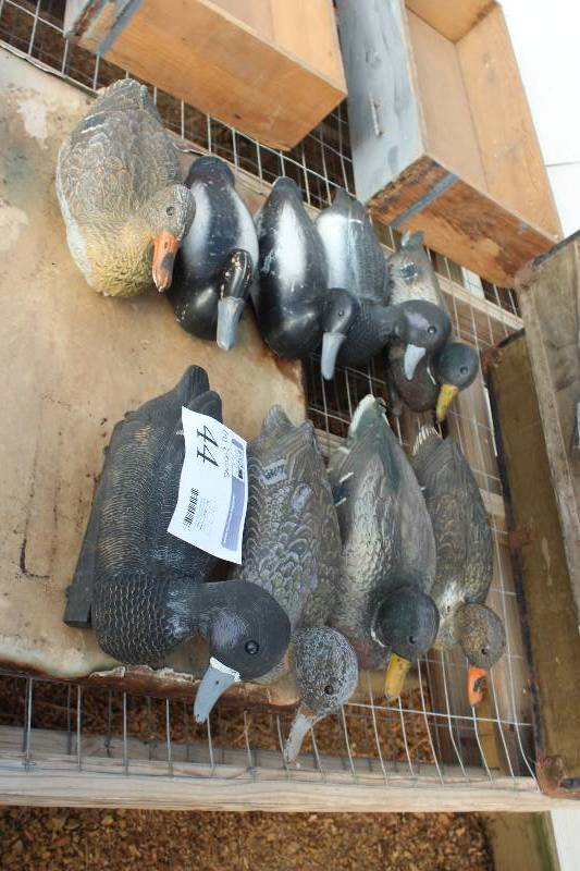 lot 44 image: Lot of (9) Duck Decoys
