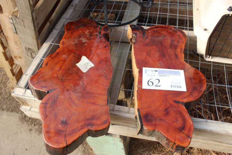 lot 62 image: 1-Piece Tree Trunk Slice