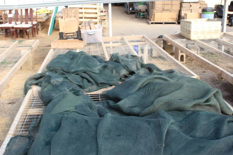 lot 77 image: Lot of (2) Shade Tarps