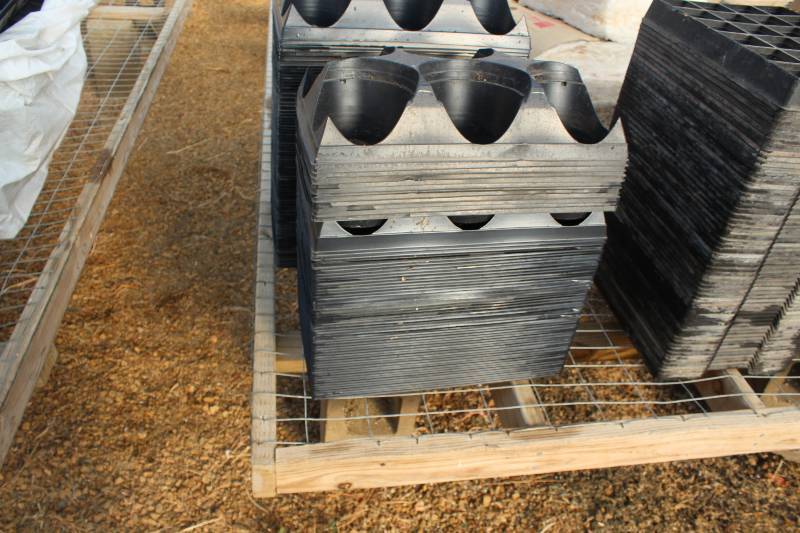 lot 87 image: Lot of (50) 6-Potted Plant Trays