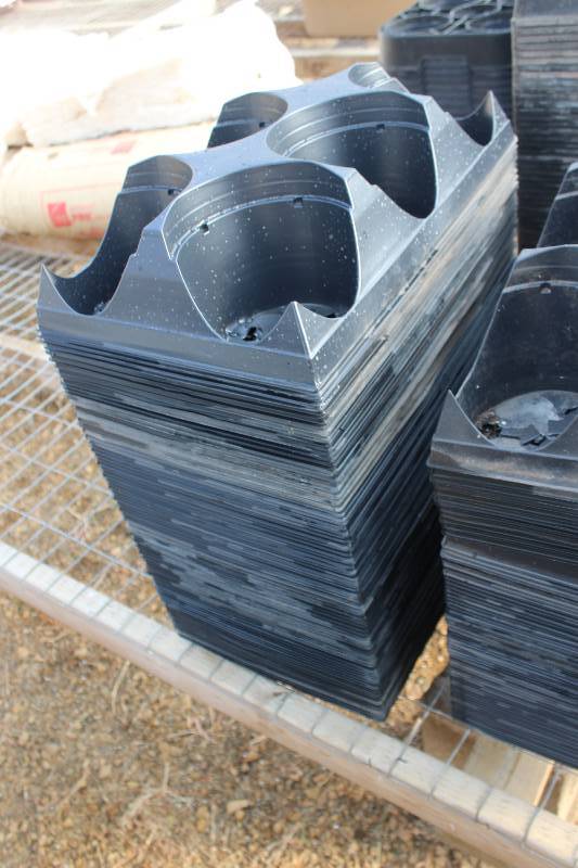 lot 88 image: Lot of (50) 6-Potted Plant Trays