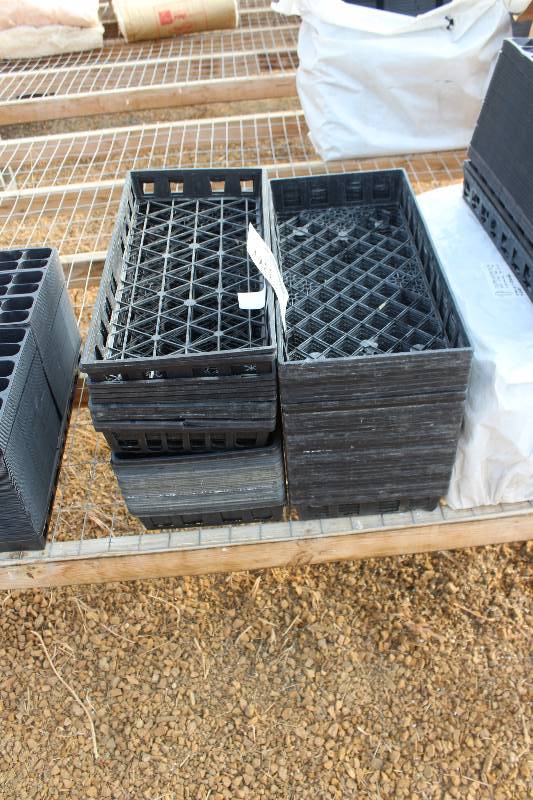 lot 98 image: Lot of (2) 100-Count Potted Plant Trays