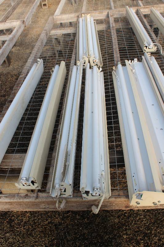 lot 122 image: Lot of (7) Fluorescent Lights