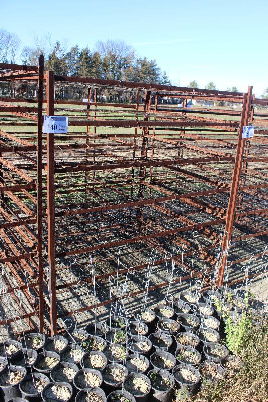 lot 140 image: 4-Wheel Metal Rack