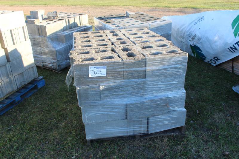 Lot of (Approximately 60) Cement Blocks