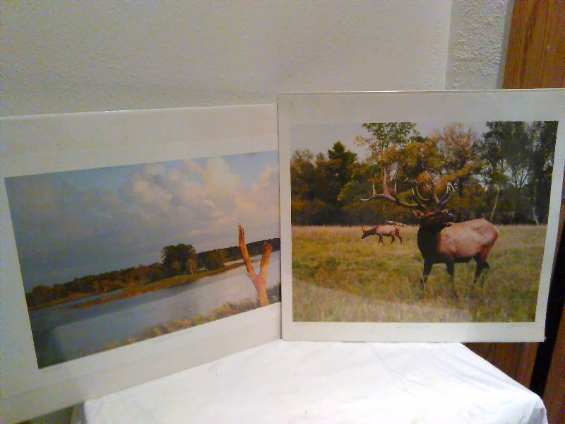lot 17 image: Tracy Jordet Prints (2) 6500 Deserted island, 9500 Sand Hills Elk