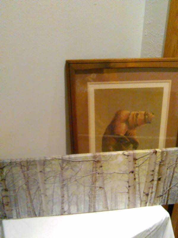 lot 19 image: Canvas, Aspen wall art and Richard Prunty Signed print (local Glyndon MN artist)
