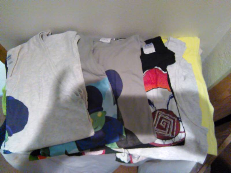 lot 26 image: T-Shirts and Tanks (16), Adult Medium, New, assorted color and prints
