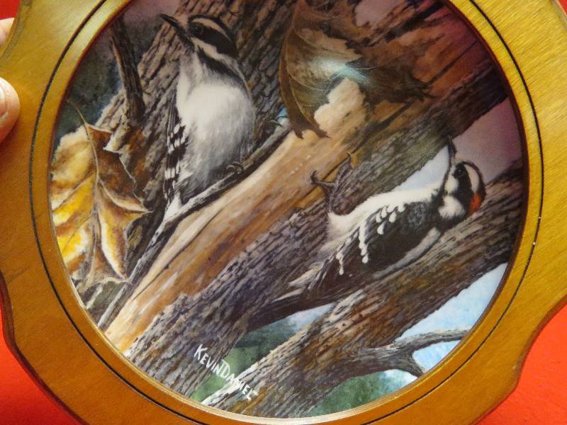 Collectible Plate
