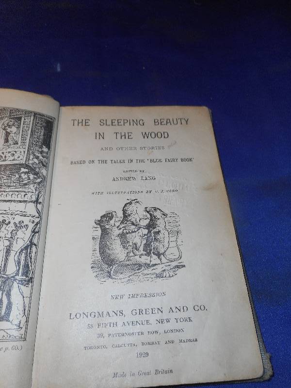 ANTIQUE THE SLEEPING BEAUTY IN THE WOODS BOOK