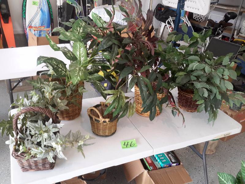 Artificial Plants as shown