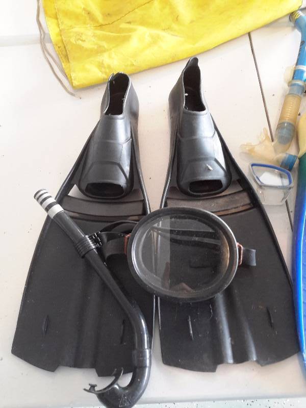 Snorkeling equipment.. 3 sets of Flippers, goggles and snorkels