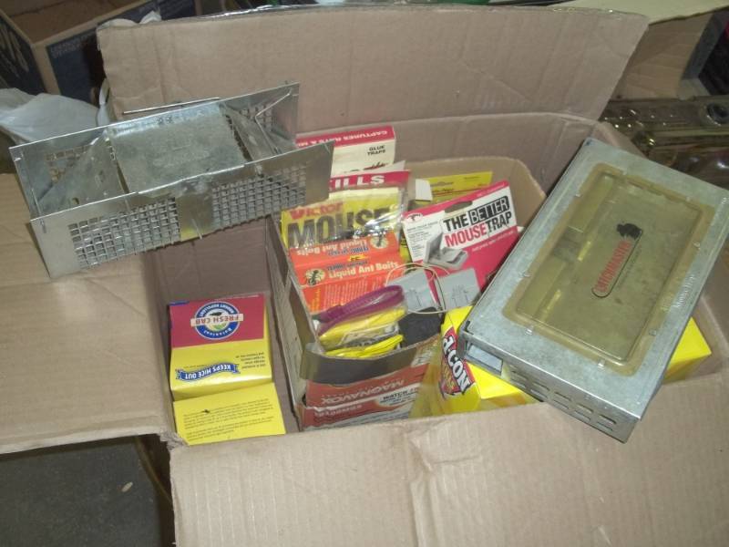 Mouse traps and mouse poison