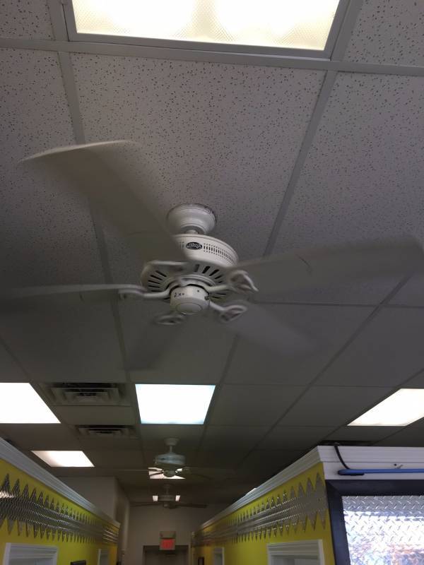 lot 40 image: Hunter Ceiling Fans (Set of 6)