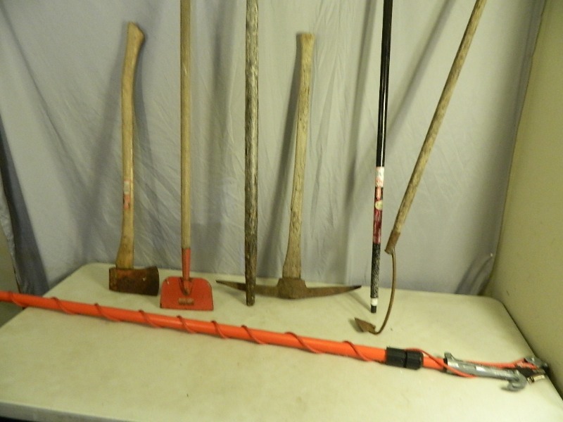 lot 50 image: Long Handle Tools