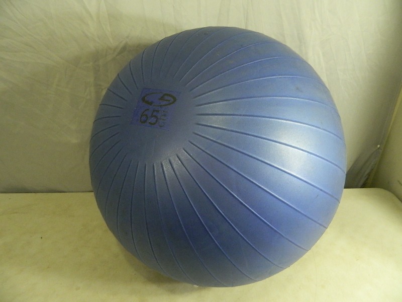 lot 111 image: Exercise Ball