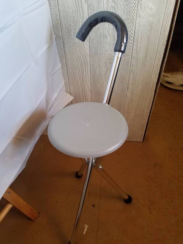 Cane with a seat