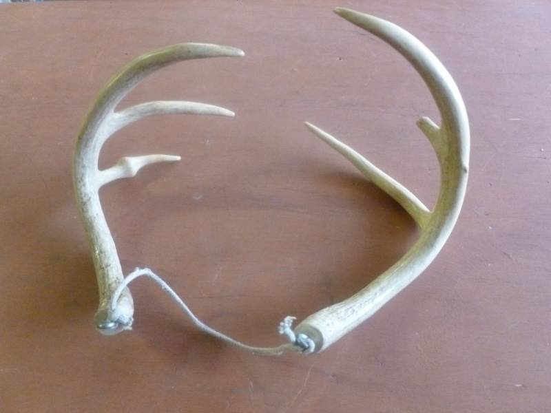 Rattling Antlers