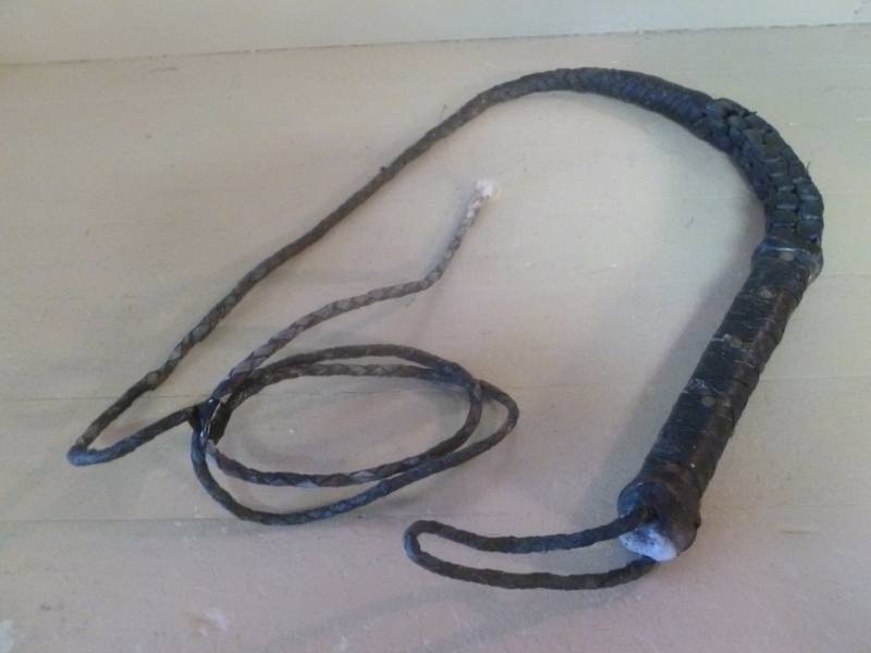 Horse Whip