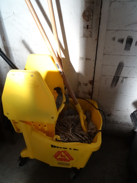 lot 81 image: Rubbermaid Mop Bucket and Wringer.