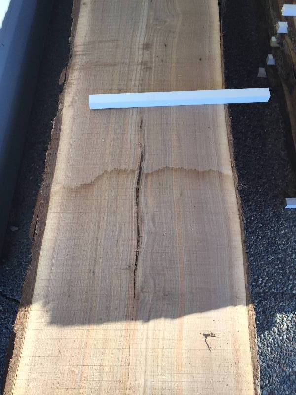 BLACK WALNUT BOARDS AIR DRIED ONE YEAR