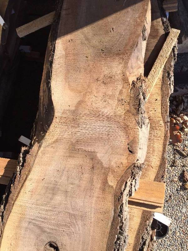 BLACK WALNUT BOARDS AIR DRIED ONE YEAR