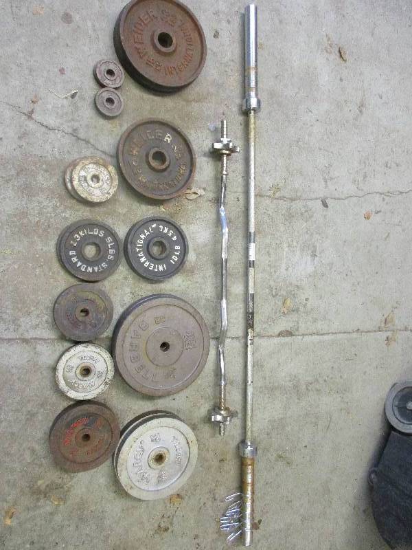 lot 123 image: weights bench press bar curling bar   355 lbs of weights