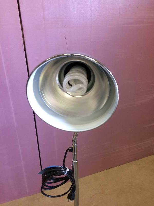 lot 16 image: Retails New $170 Nightingale Cool Touch Chrome Gooseneck Telescoping Industrial Medical Exam Light Lamp - Excellent Condition Super Chic For Your Industrial Look Reading Light Or Mechanics Garage