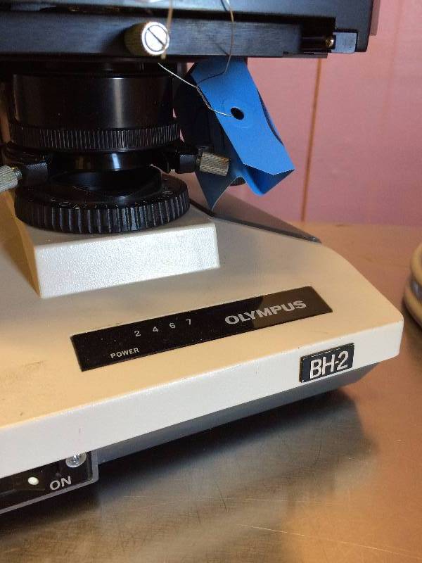 lot 68 image: WOW Retails Used $1,600 Olympus BH-2 (BHTU) Microscope  Olympus objectives 4x, 10x, 40x, 100x - Excellent Condition - White