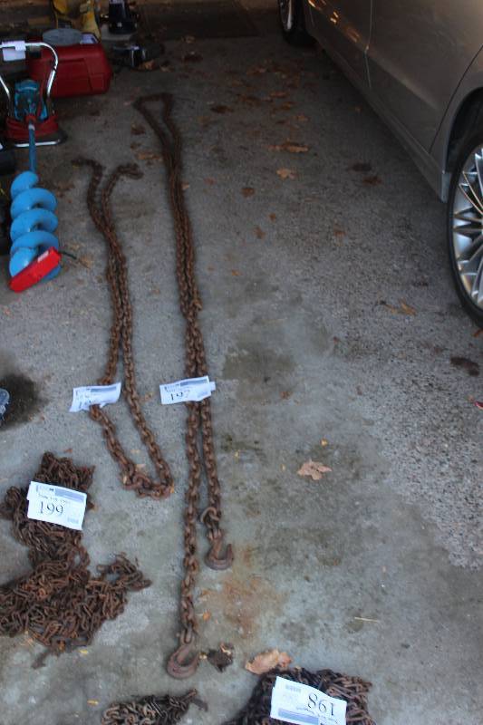 lot 197 image: 20ft. Log Chain