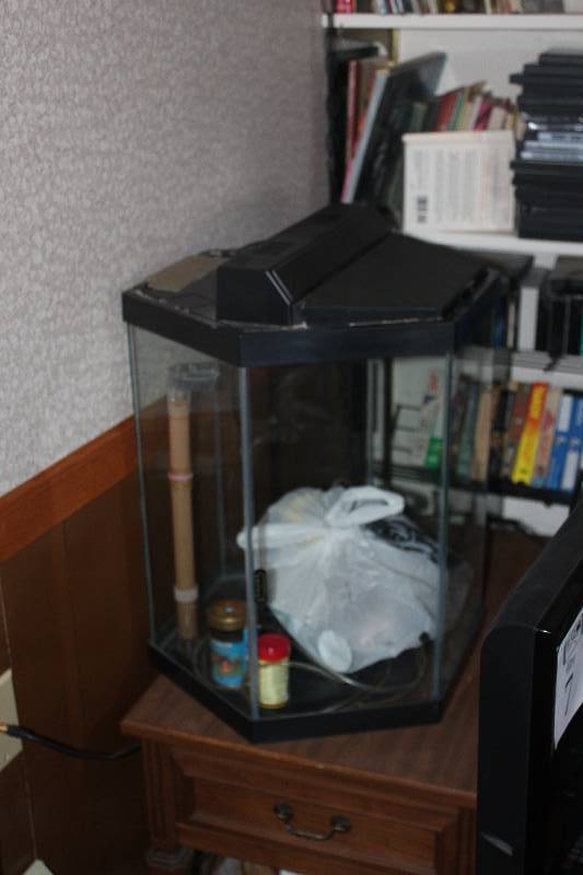 lot 203 image: Aquarium w Aquarium Accessories, Decorations